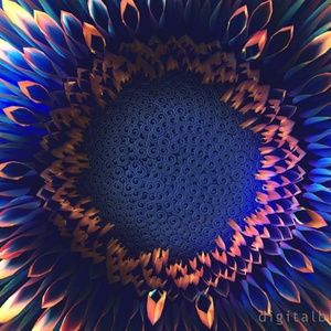 Meet your Posher, Sabrina